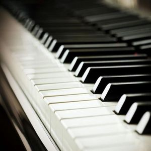 欧美一区二区无码视频
