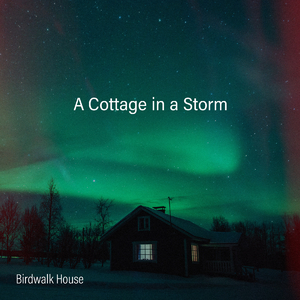 欧美一区二区无码视频
