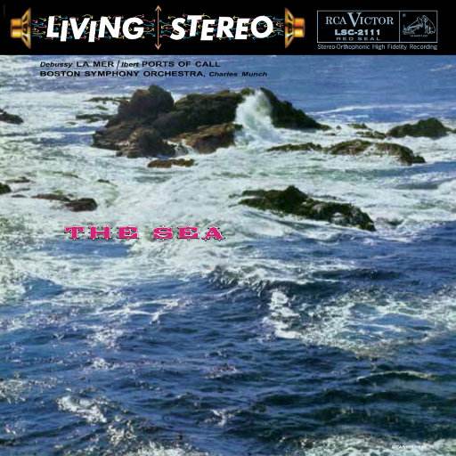 欧美一区二区无码视频
