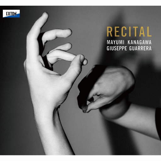 欧美一区二区无码视频
