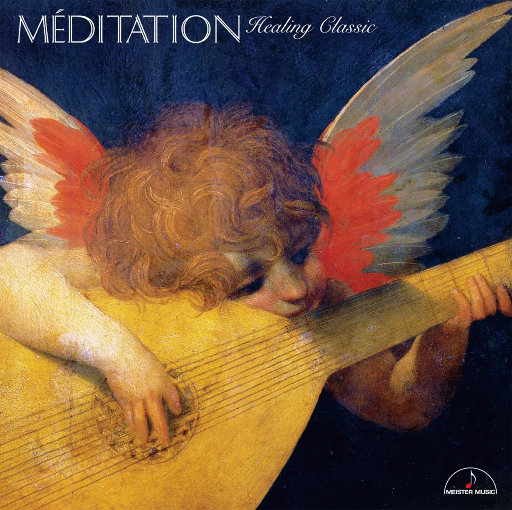 欧美一区二区无码视频
